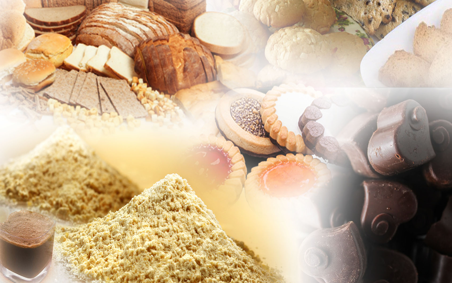 Soya Lecithin Powder Soya Lecithin Powder