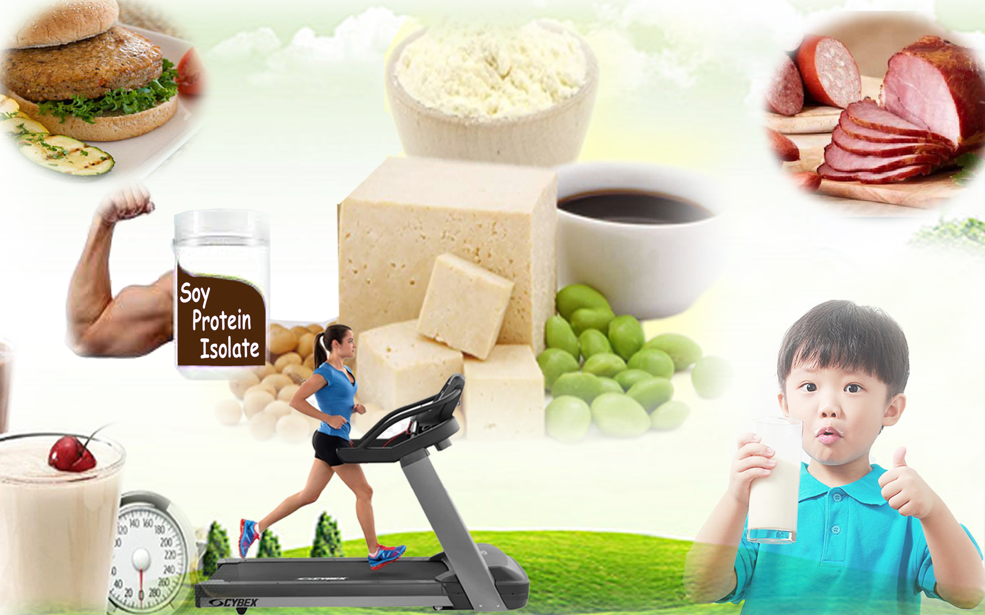 Soya Protein Isolate Soya Protein Isolate